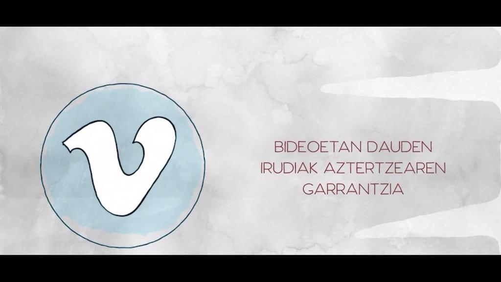 TENTUZ ETA ZENTZUZ- SAREKO BIDEO-IRUDIAK AZTERTZEA- OIZMENDI TELEBISTA DESINFORMAZIOAREN AURKA